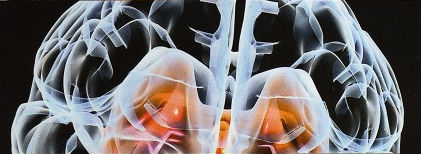 Scientific American Mind